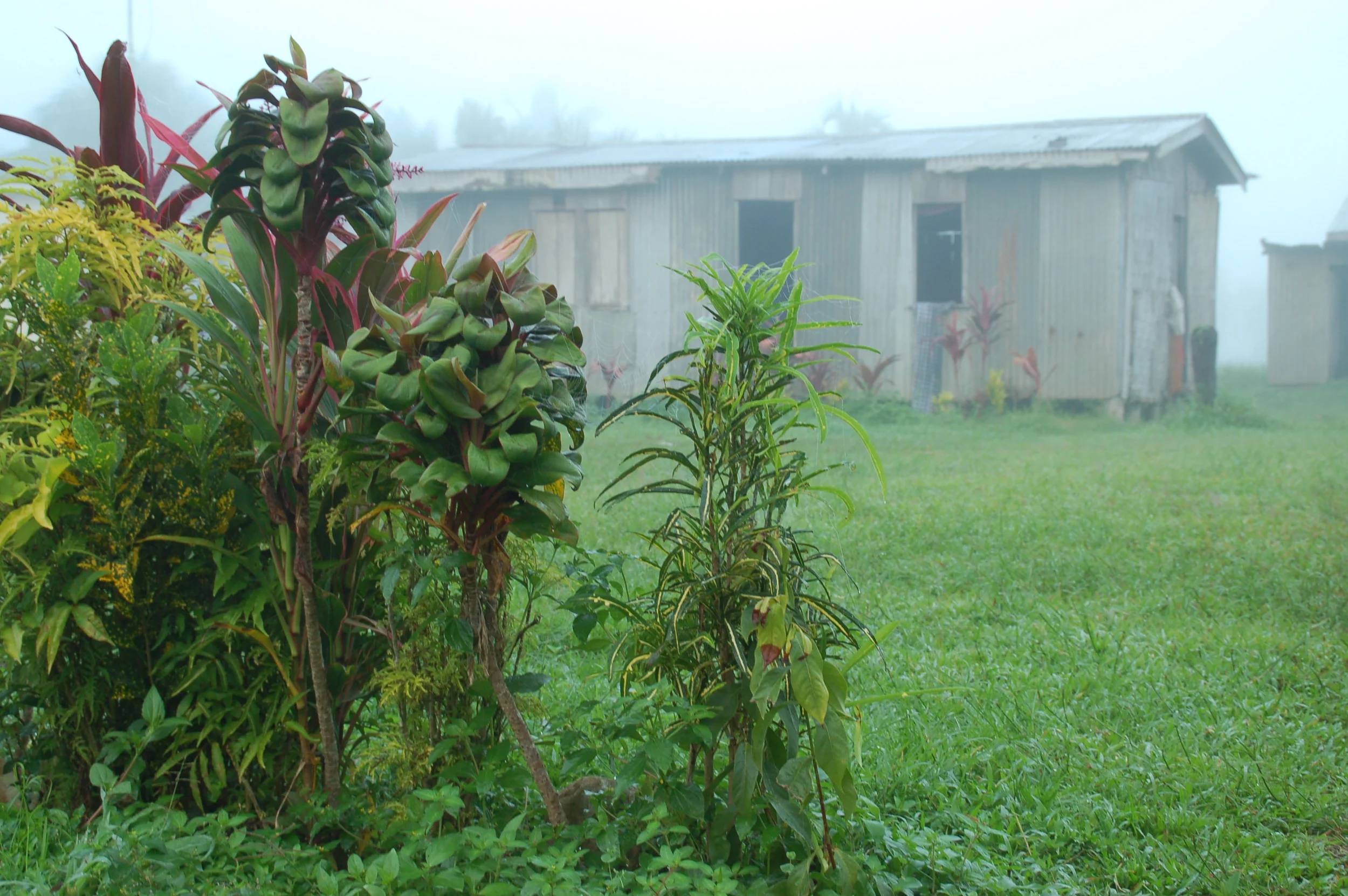 Misty Morning Village