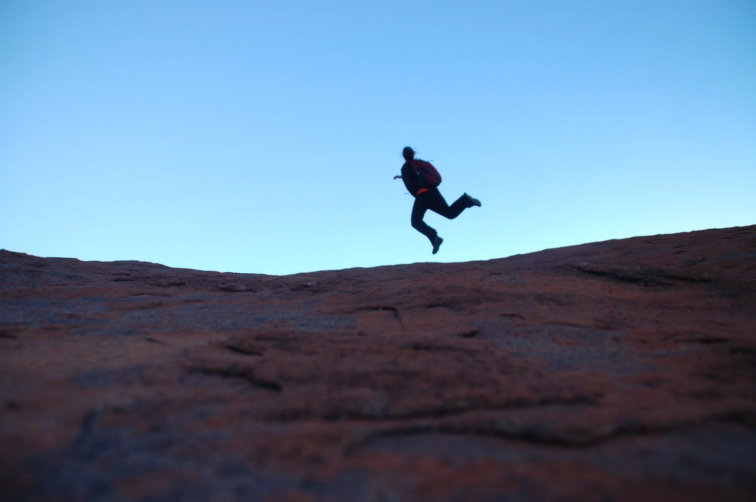 Leapin' Lizards!