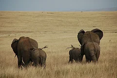 The Big Five