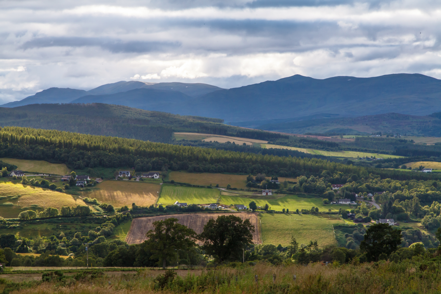 IMG_1281-HDR.jpg