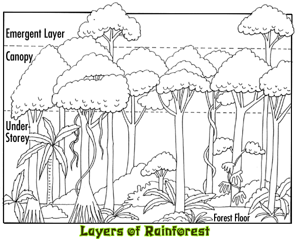 layerslarge.gif