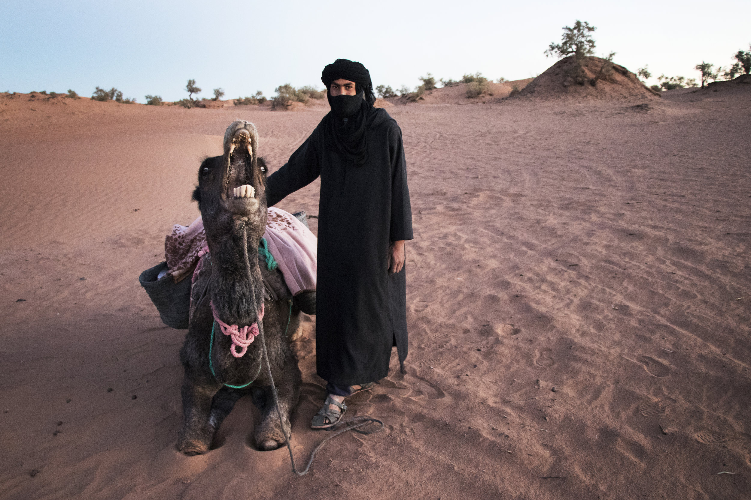 Allal and his camel who hates me