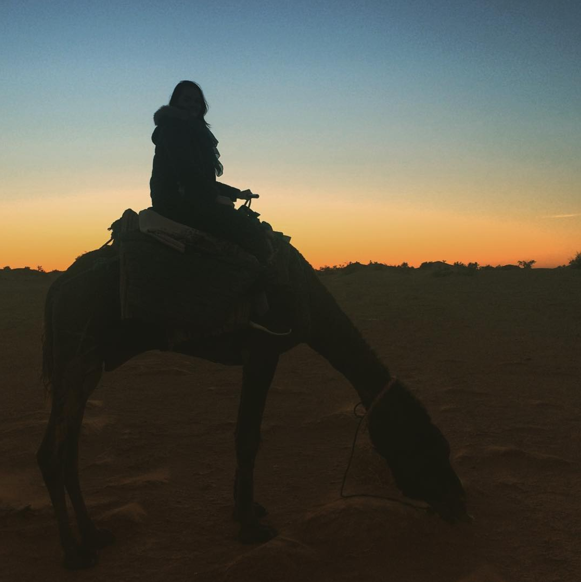 Sitting on a camel at sunset in the Sahara