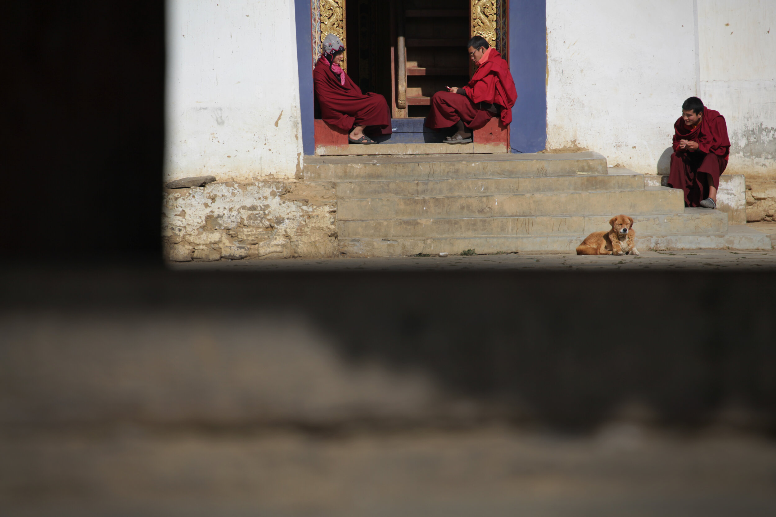 some-monks-and-a-peaceful-dog-sit-outside-gangtey-monastery-phobjikha-bhutan_8426332733_o.jpg