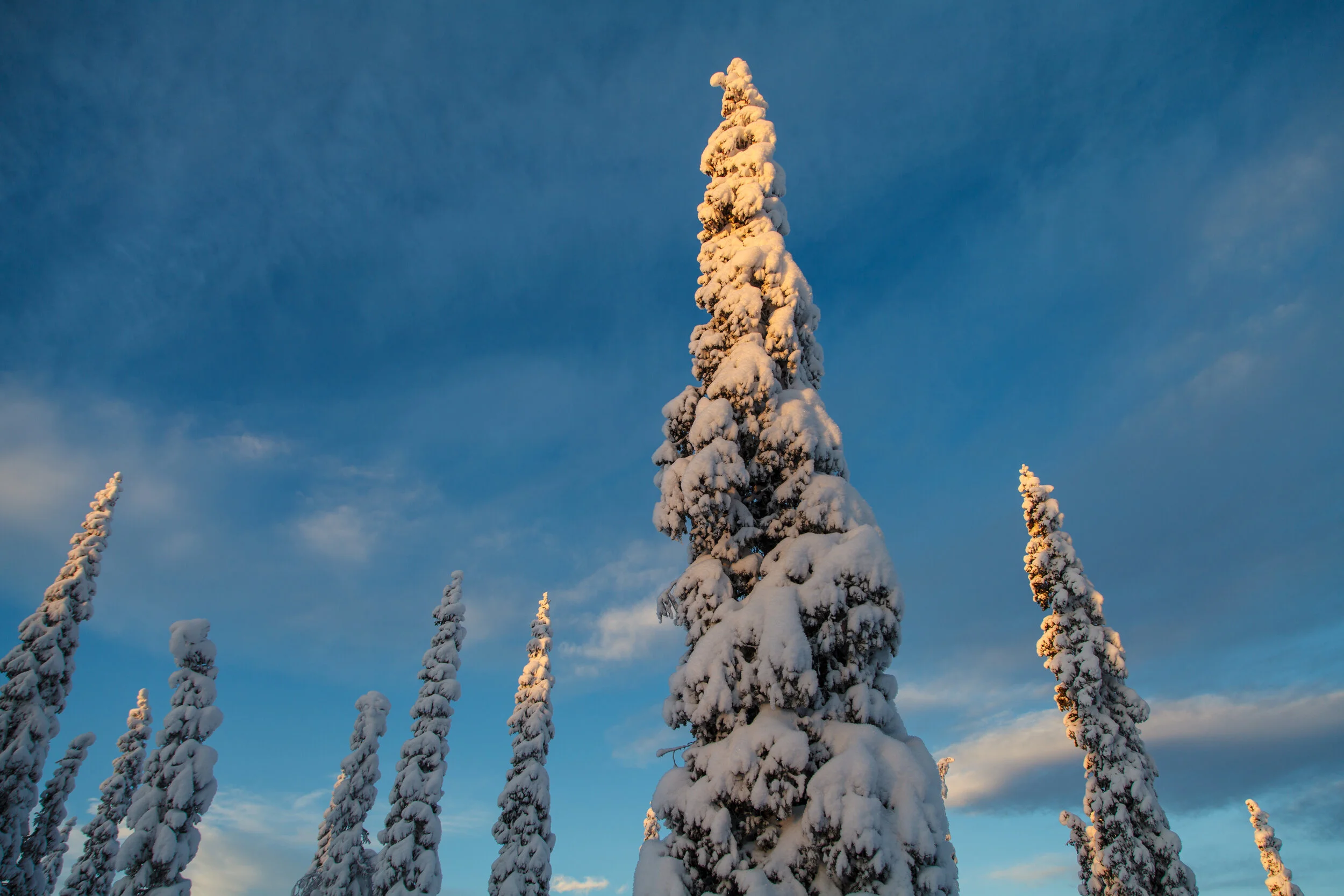 the-skyscrapers-of-lapland-kiruna-sweden_24342371752_o.jpg
