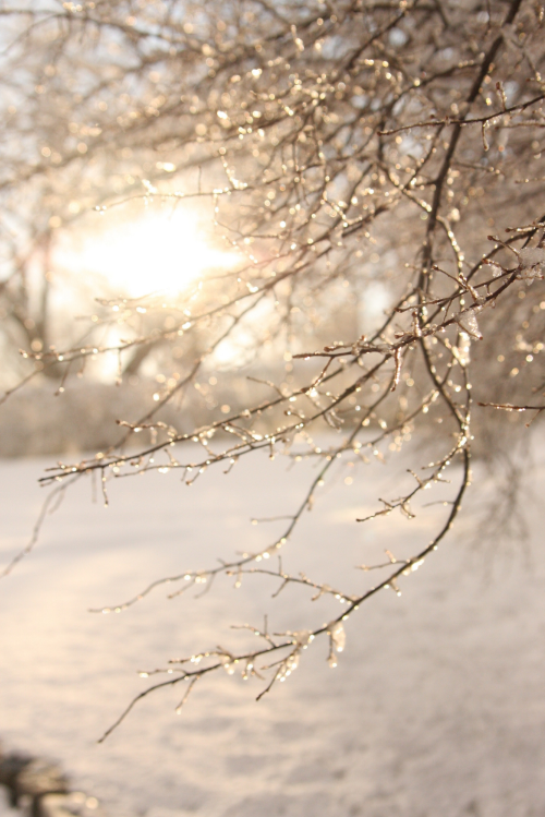 Photo of snowstorm Mars by Morgan Anderson 