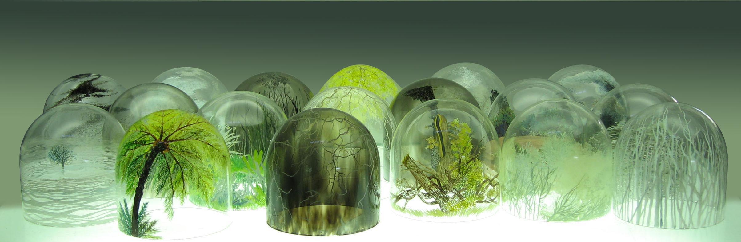 Domes layout close.jpg