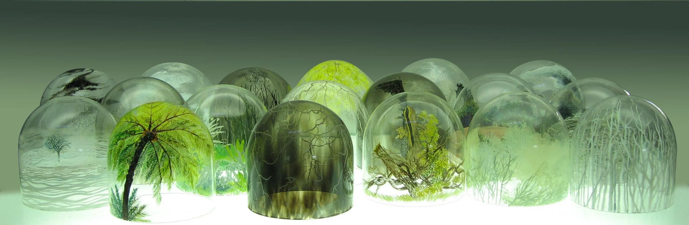 Domes layout close.jpg
