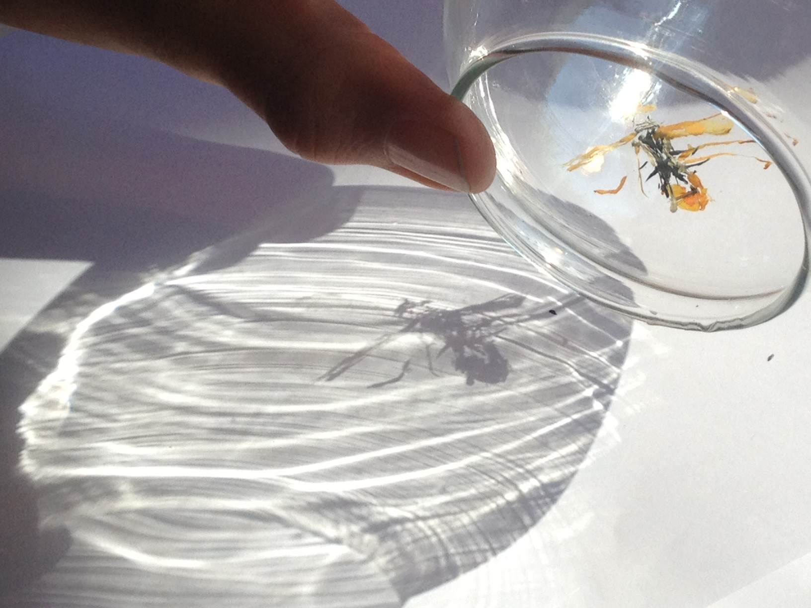 glass shadow.jpg