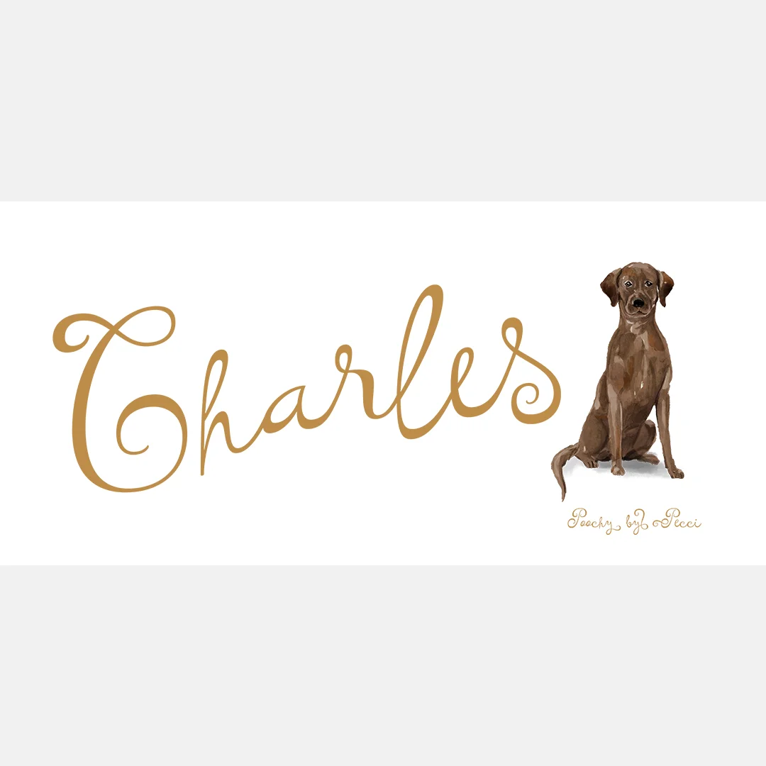 charles-mockup.jpg