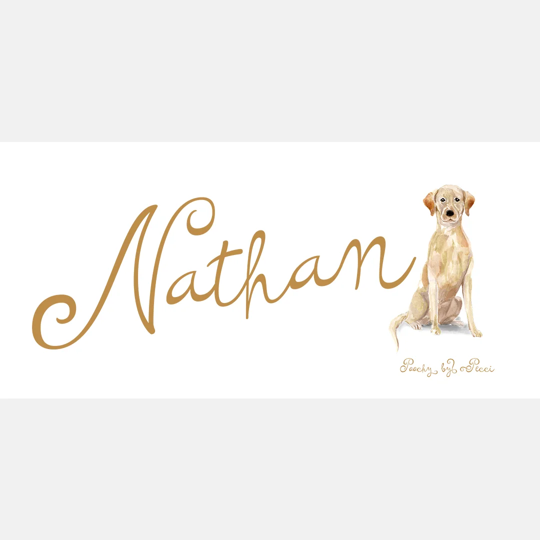 nathan-mockup.jpg