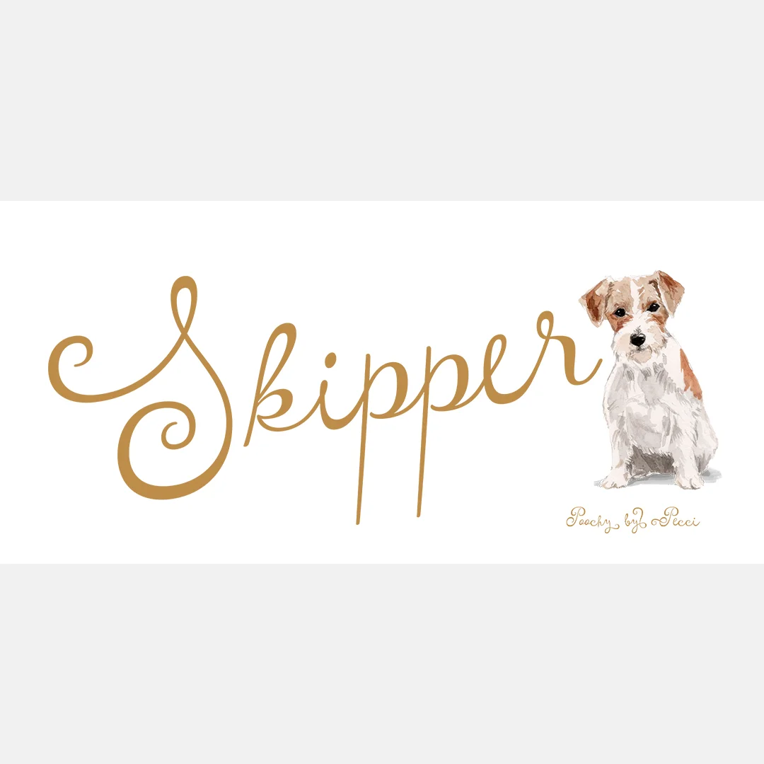 skipper-mockup.jpg
