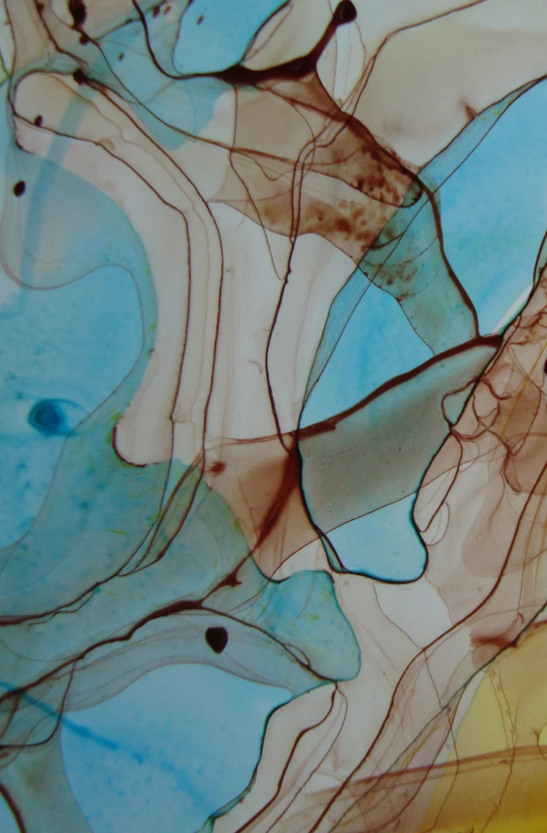 yupo 507 (Large).jpg