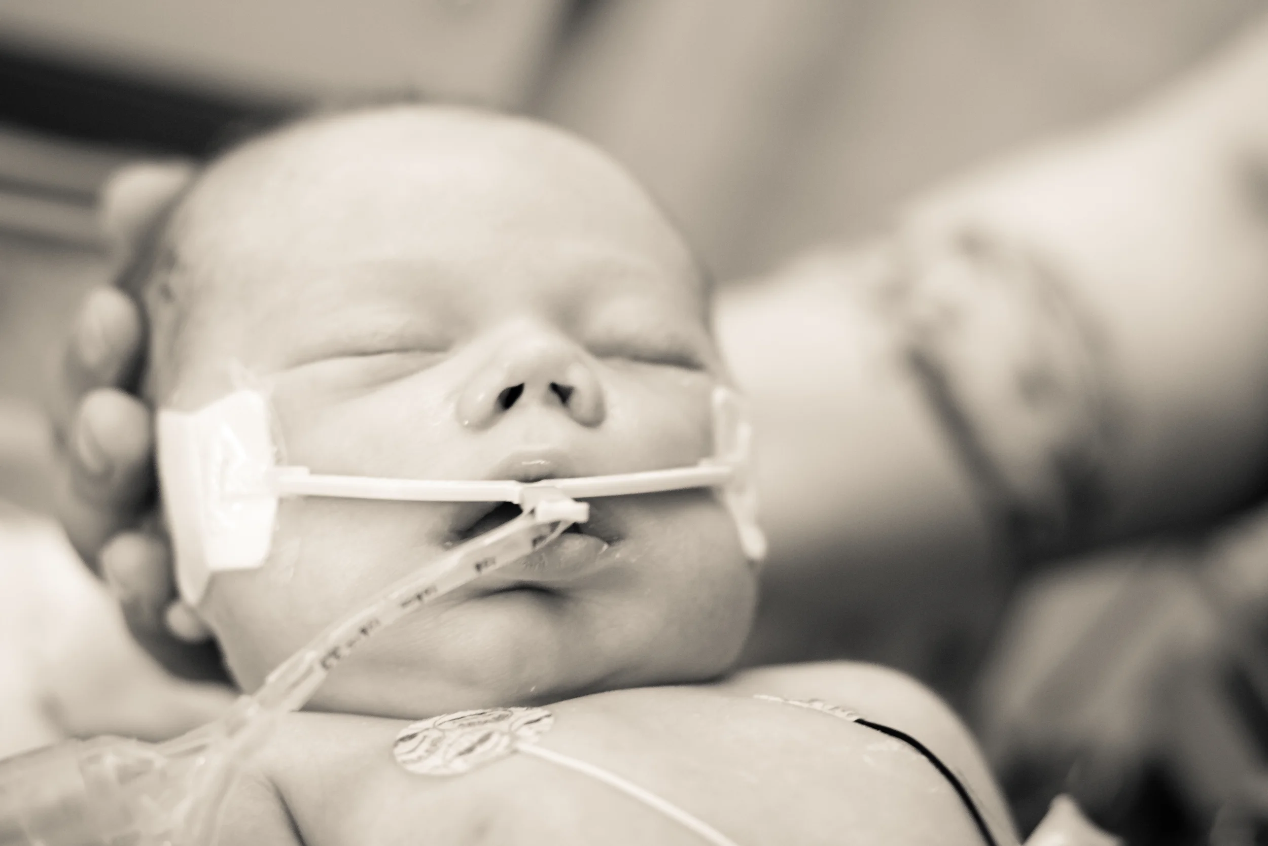 My first photo session capturing Brooke's son.