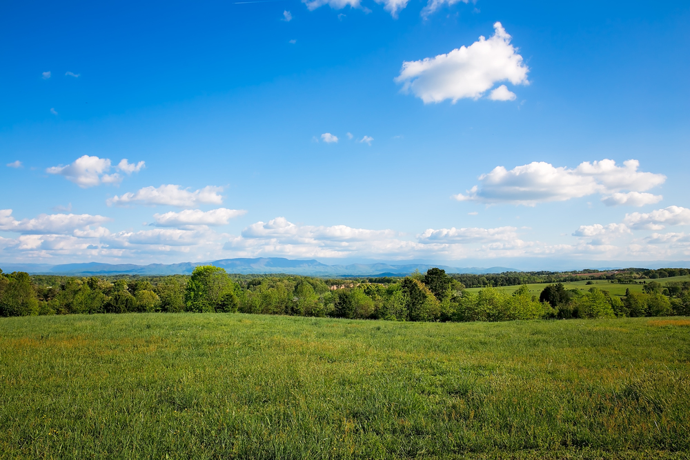 Photos — Colley Hill Farm