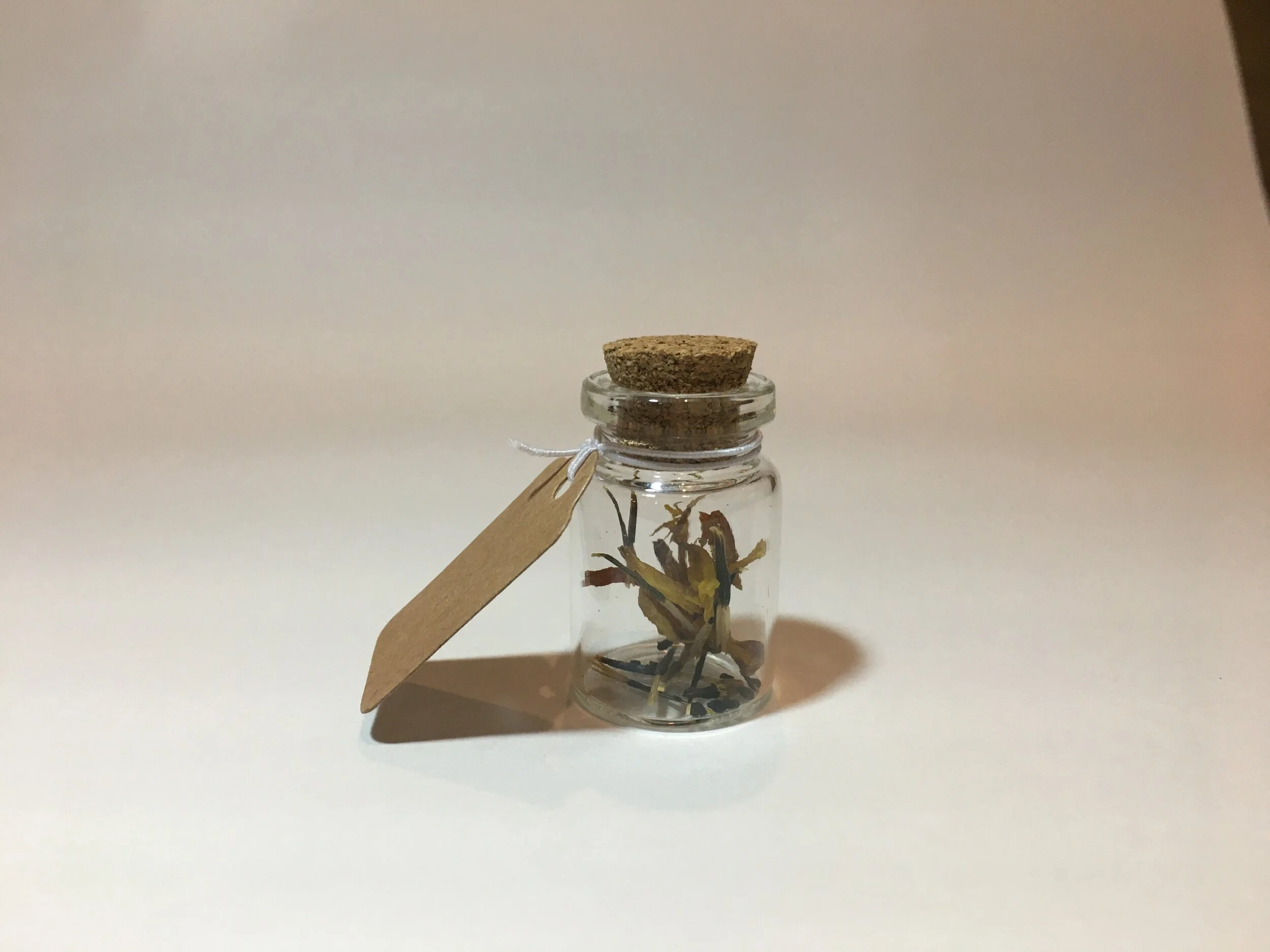 seed jars