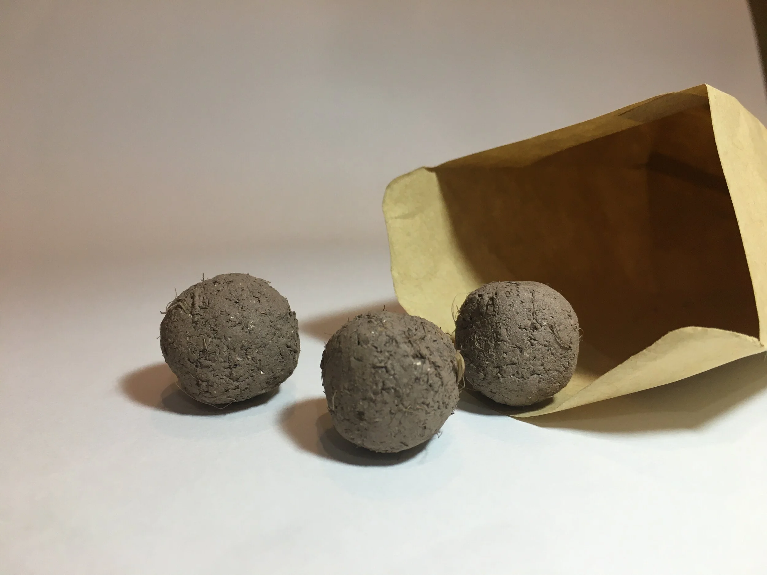seed bombs