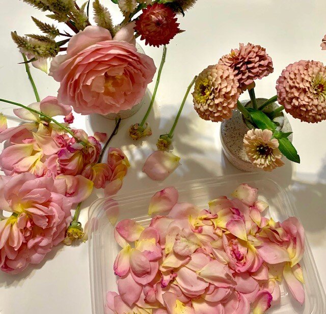 Never underestimate what your petals can do! David Austin Jubilee Celebration going into the press 🌸