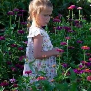 Our friend Joplin in the zinnia garden!

www.jdepewphotography.com