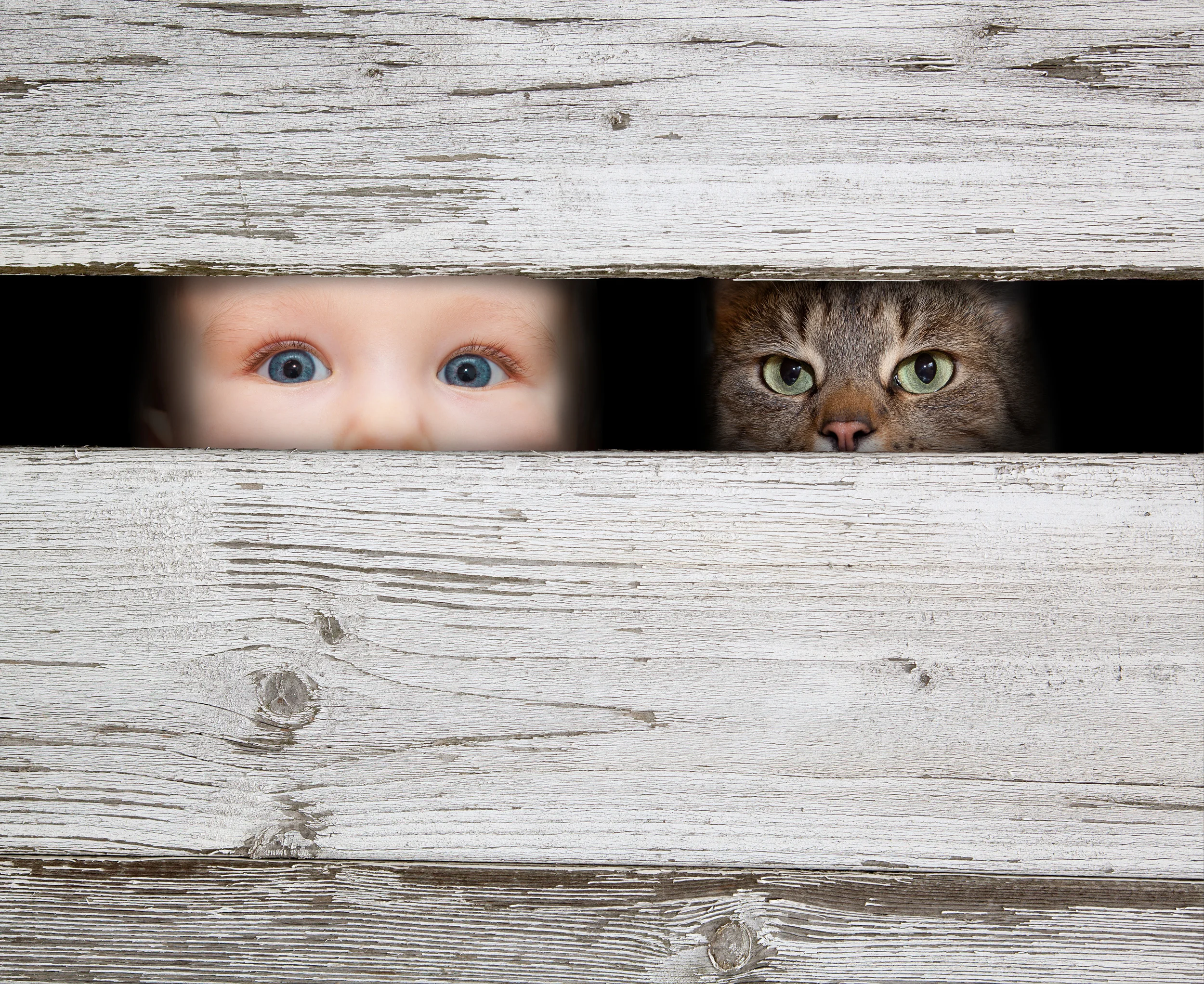 Fotolia_60553322_Subscription_Monthly_XXL.jpg