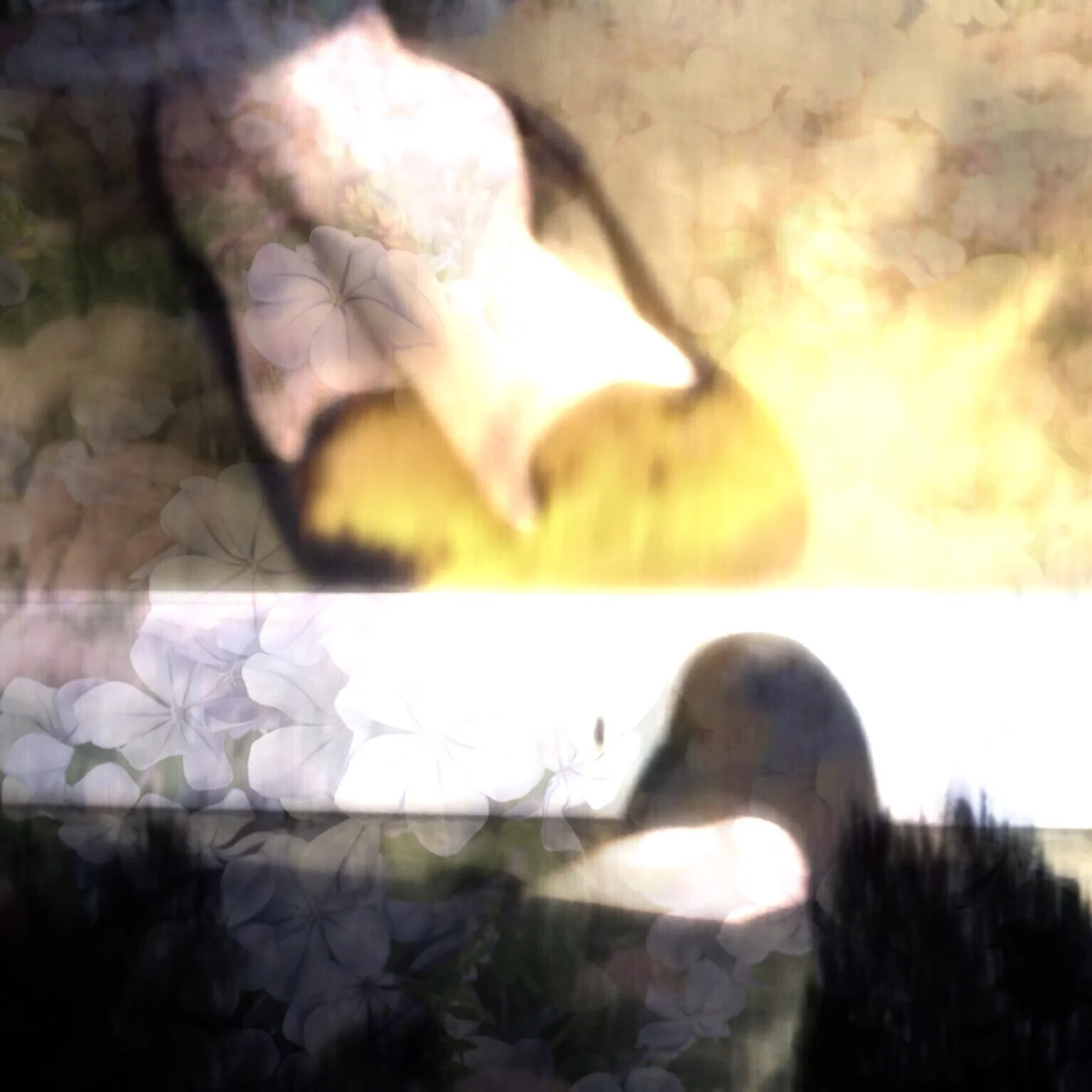 Sunset came whilst waiting