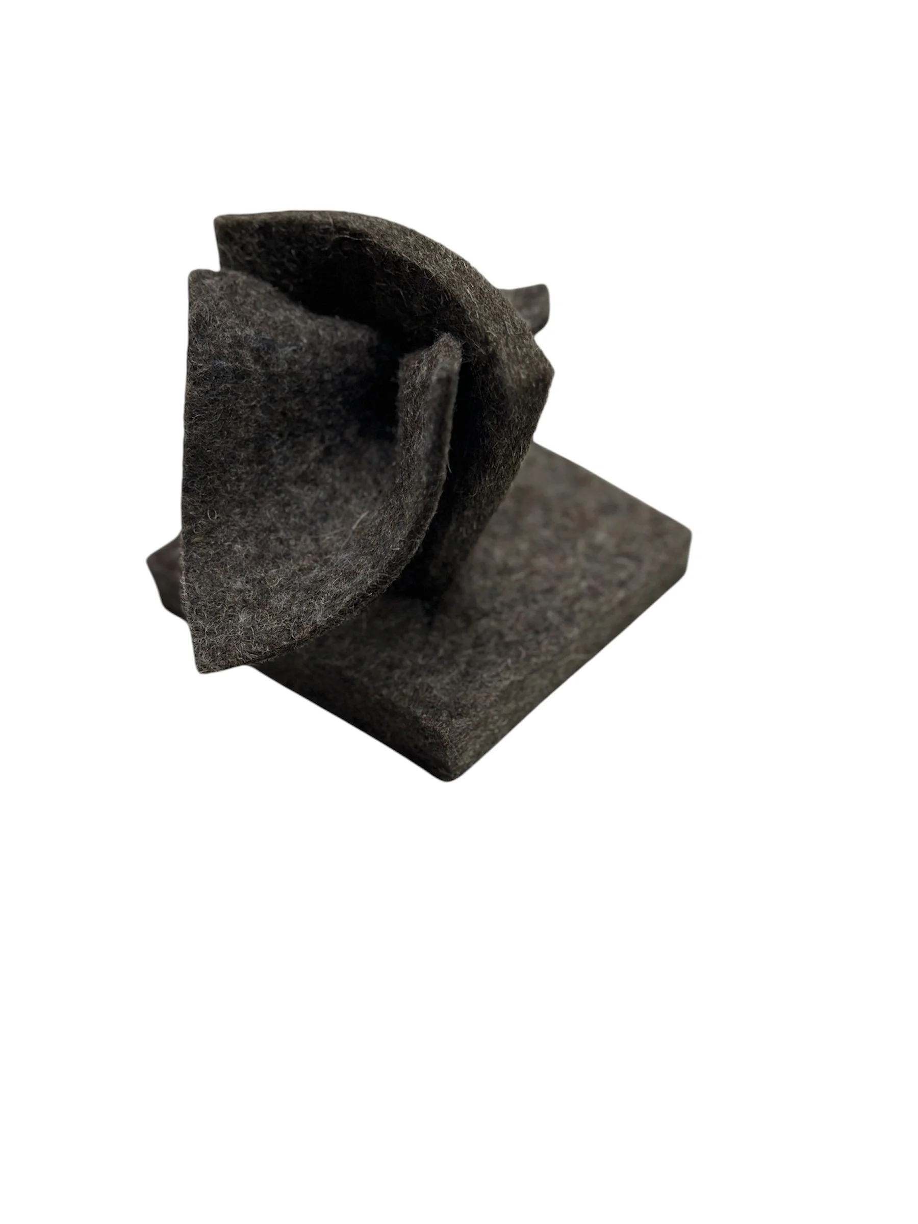 AliciaFonsecaLeon-Felt15b.JPG