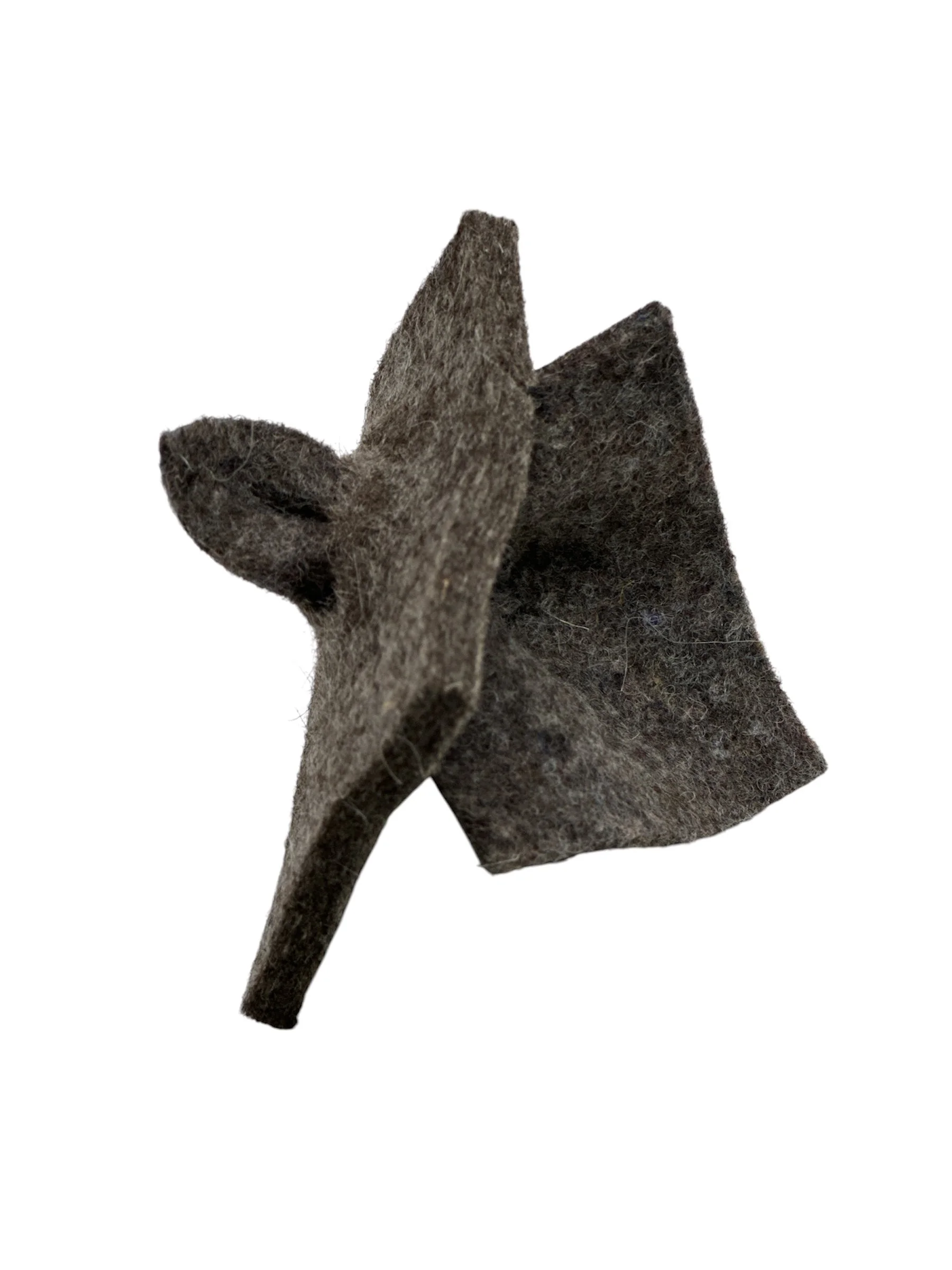 AliciaFonsecaLeon-Felt15d.JPG