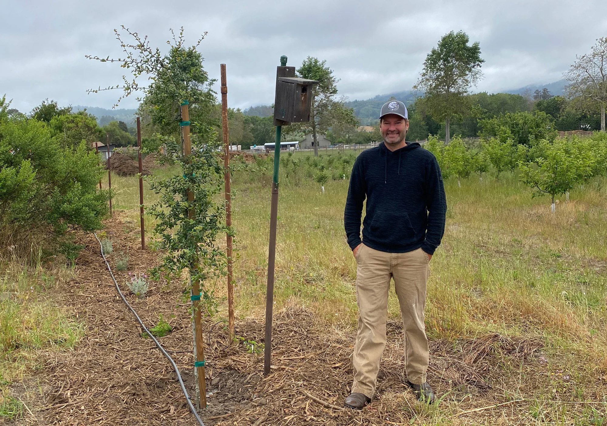 In the orchard Photo.jpg