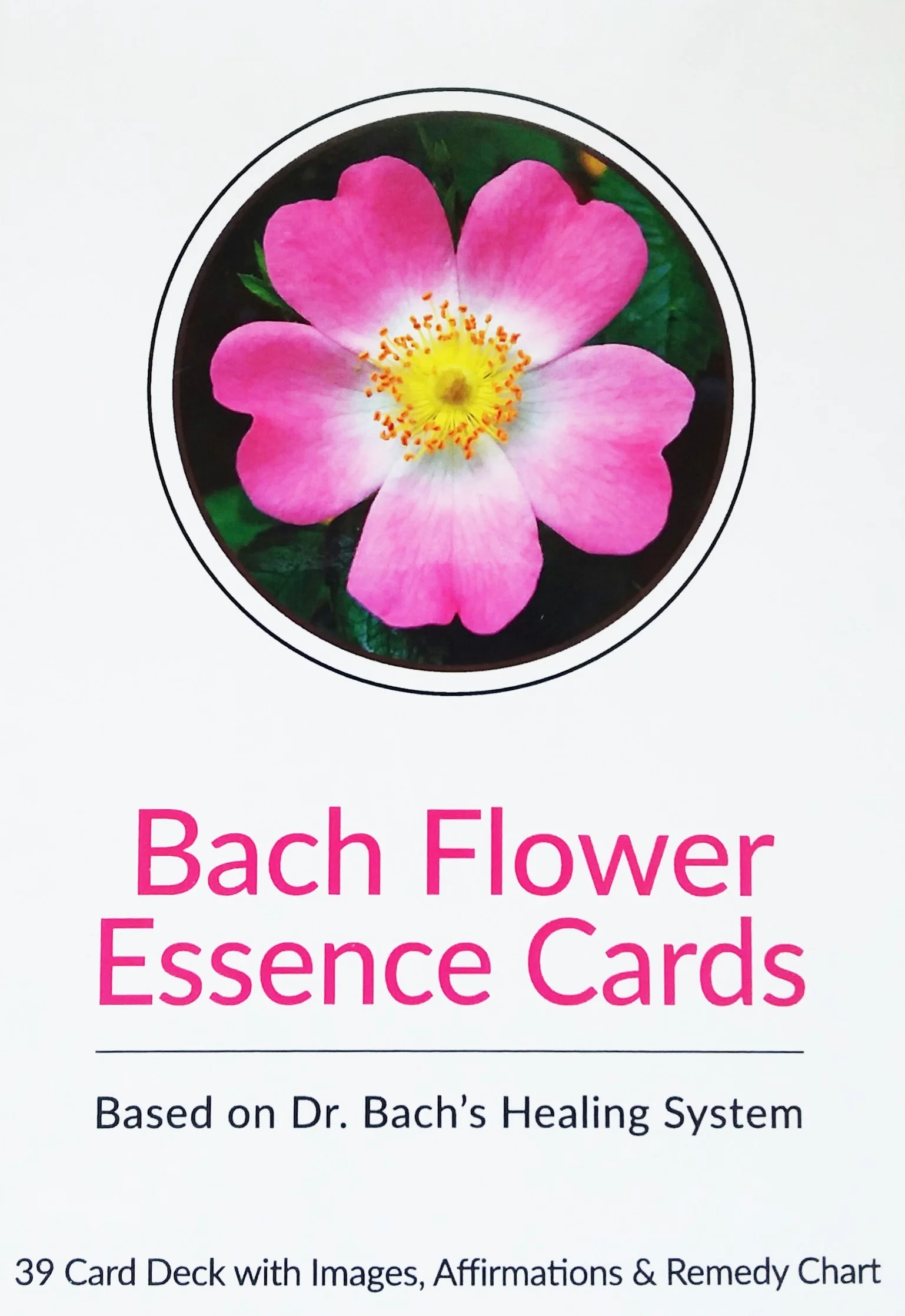 Bach Box image NEW (3).jpg