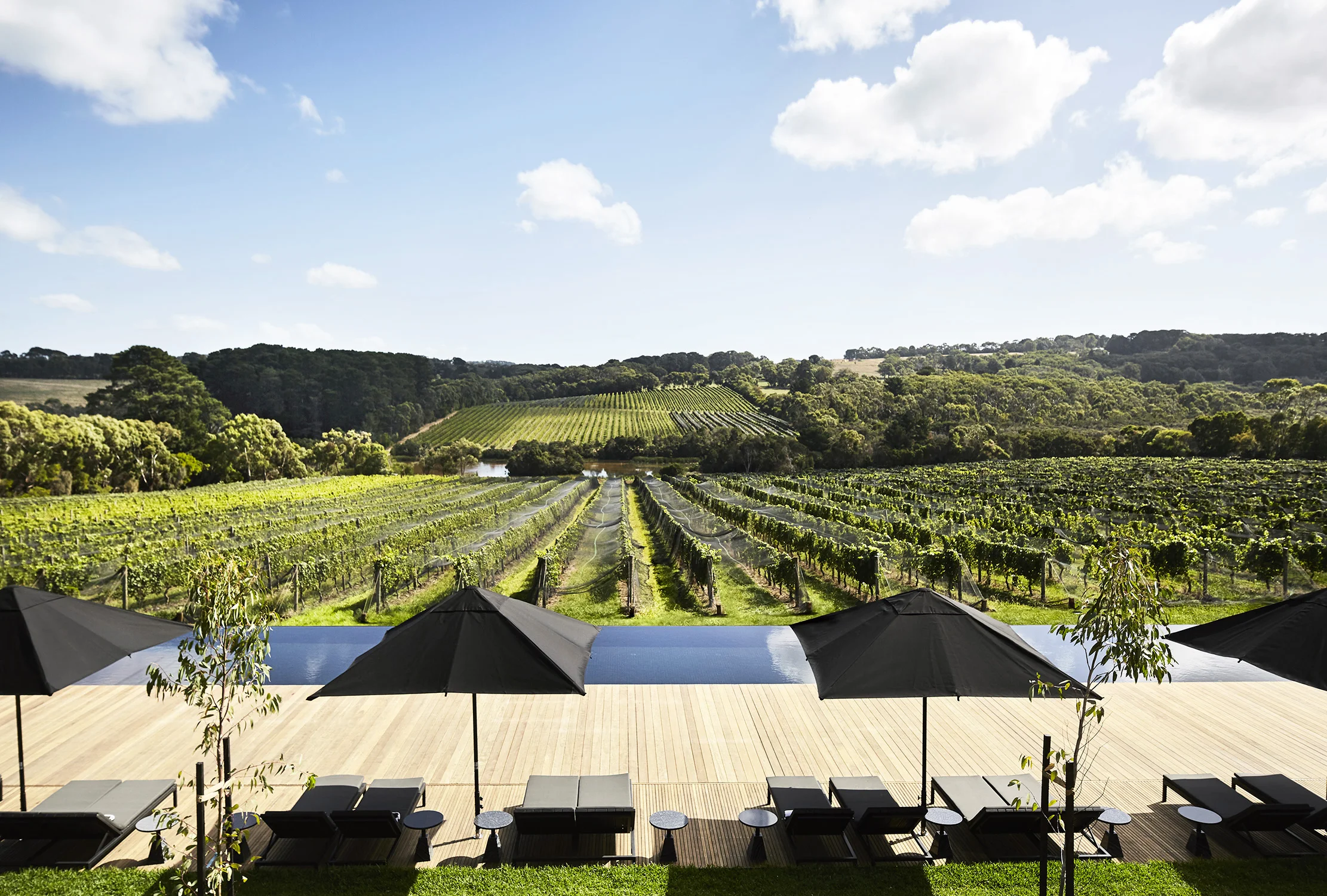 Image courtesy of Jackalope Hotels.