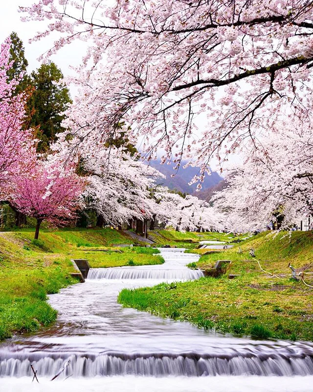 Fukushima, Japan. Photo courtesy of Instagram user @gaku_shimada.