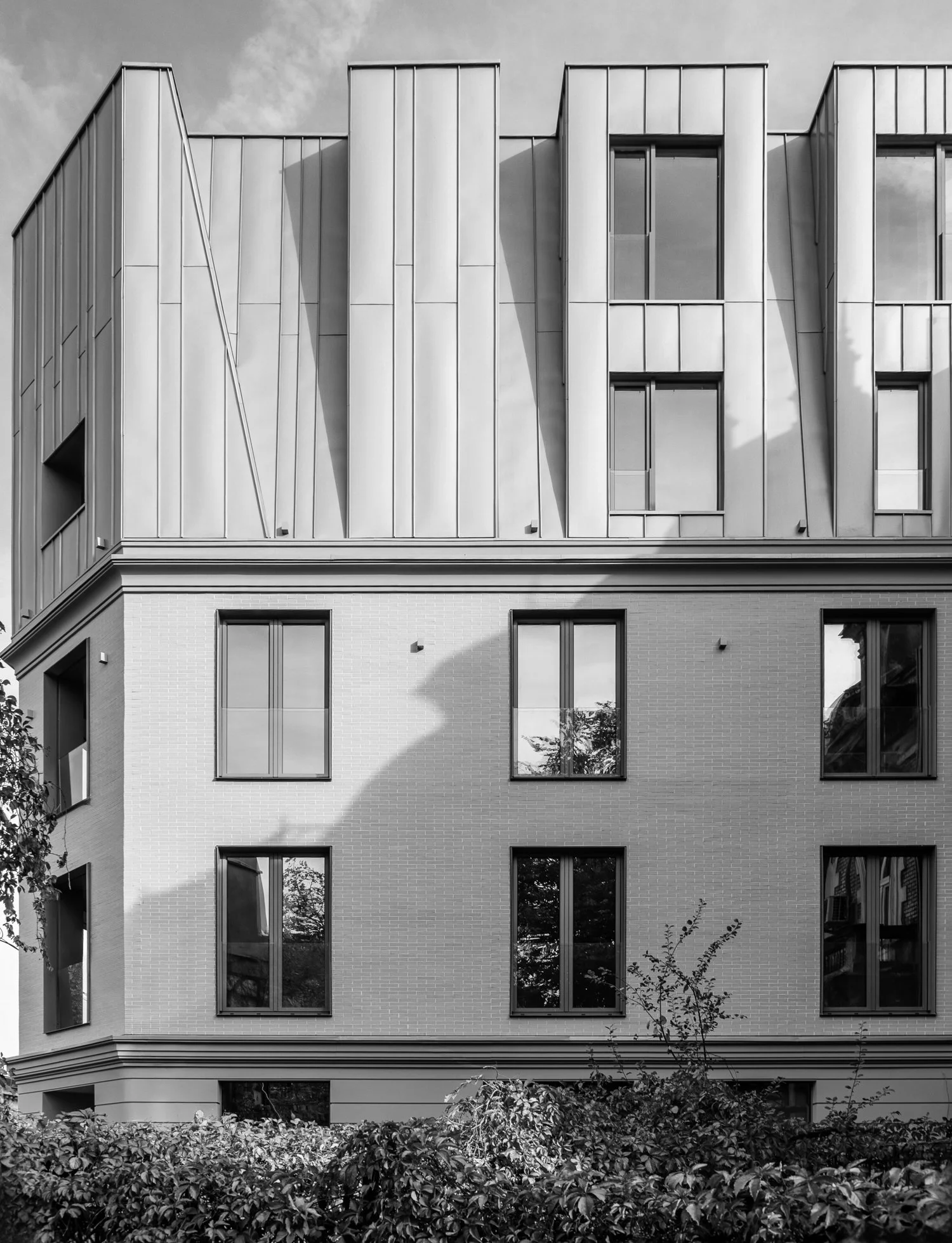 01-BW vis.jpg