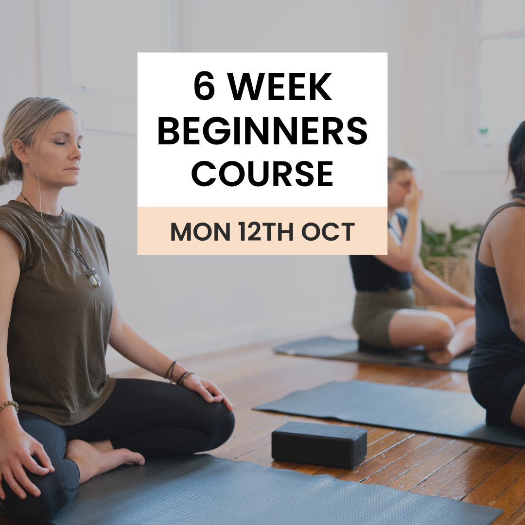 Beginners+oct+.png