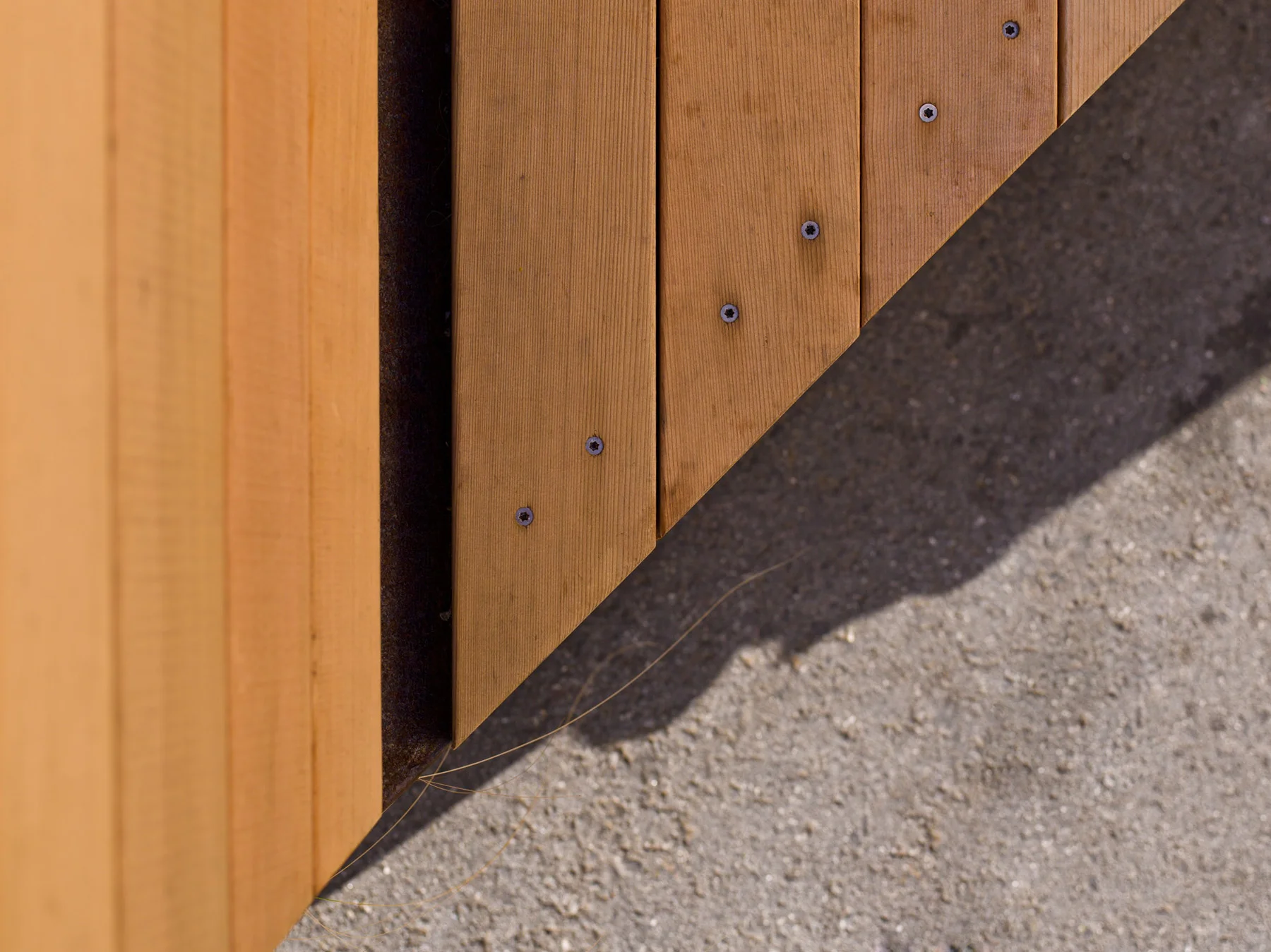 Ocean Beach Parklet_10.jpg