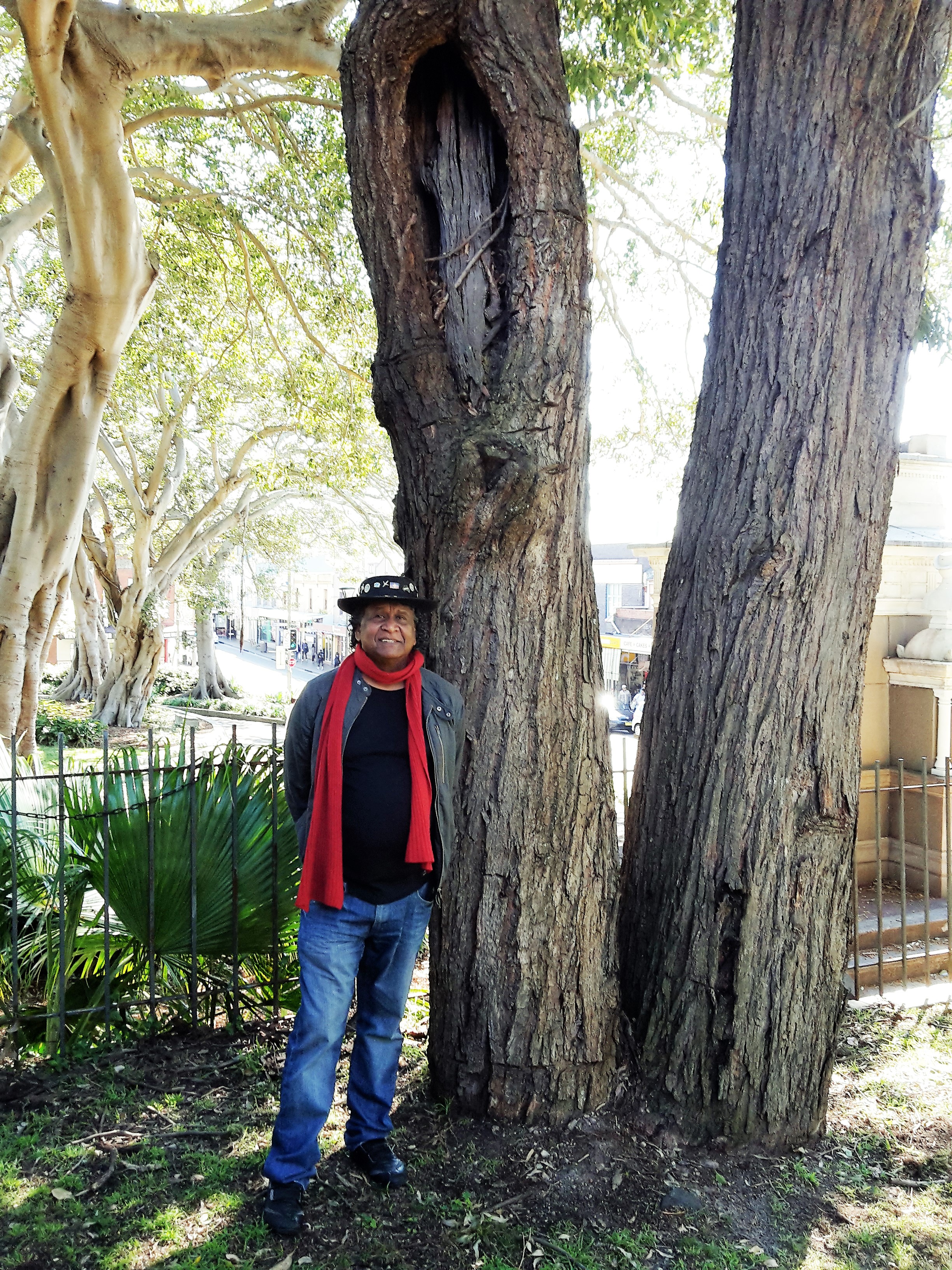 Ray Minniecon from the Babana Aboriginal Men's Group and the scarred tree ministries, pictured with the tree in Glebe.