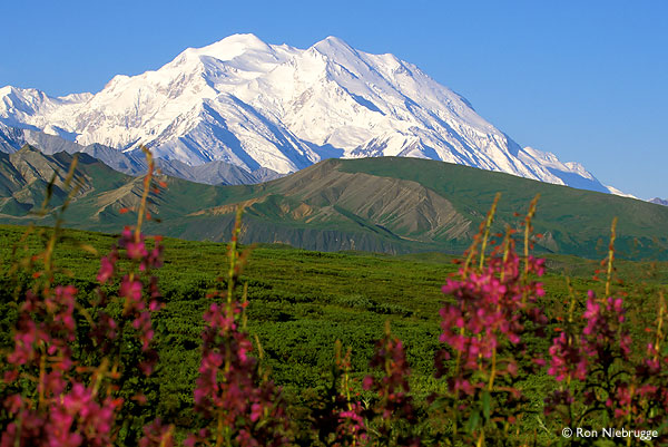 Denali, the highest mountain in the mainland United States.