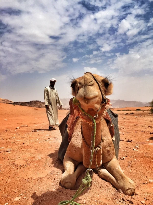 Life of Bedouin in Jordan 12.jpeg