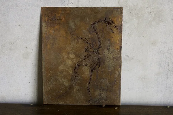 boven_avis_tyrannosaur_2.jpg