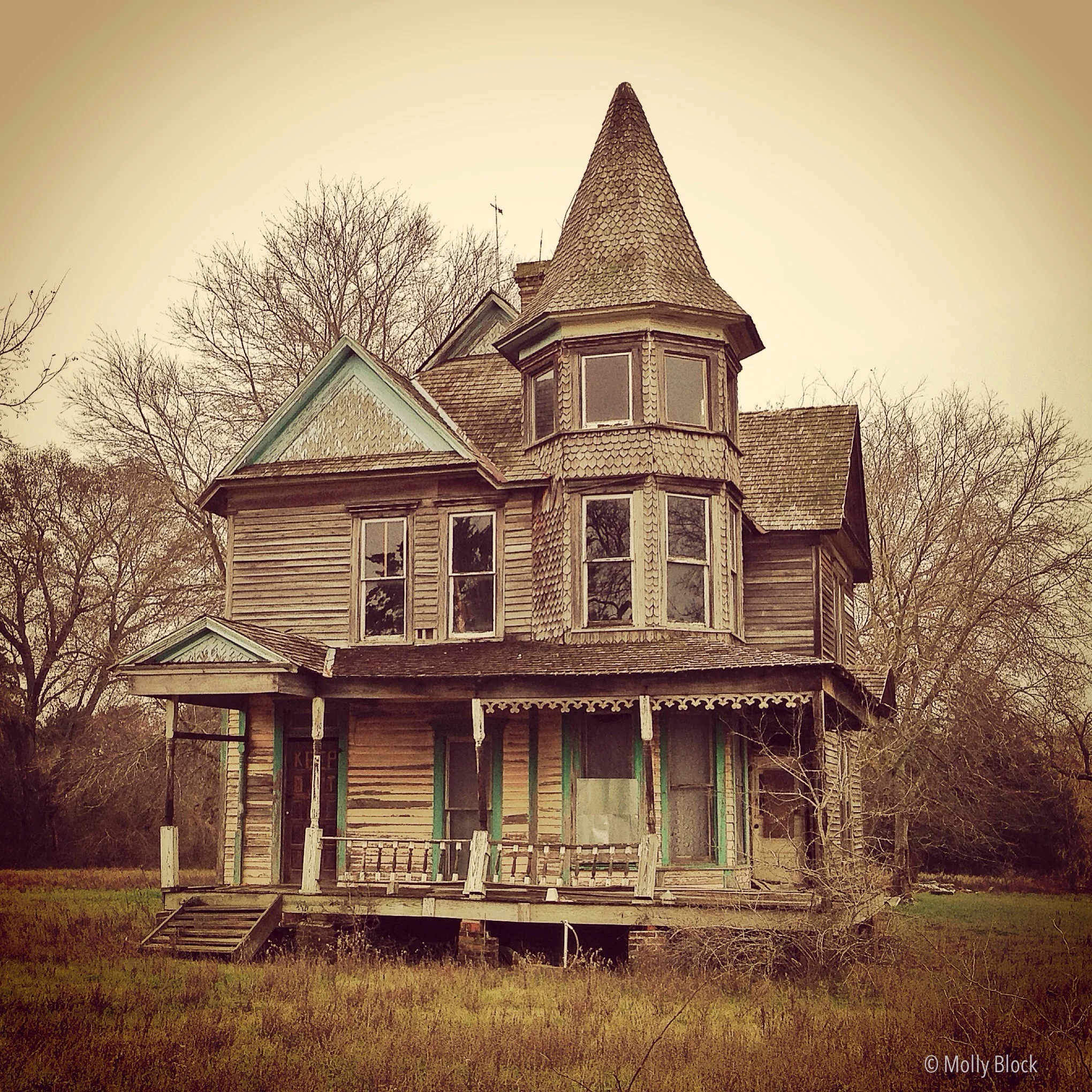 Vacant Victorian, 2014