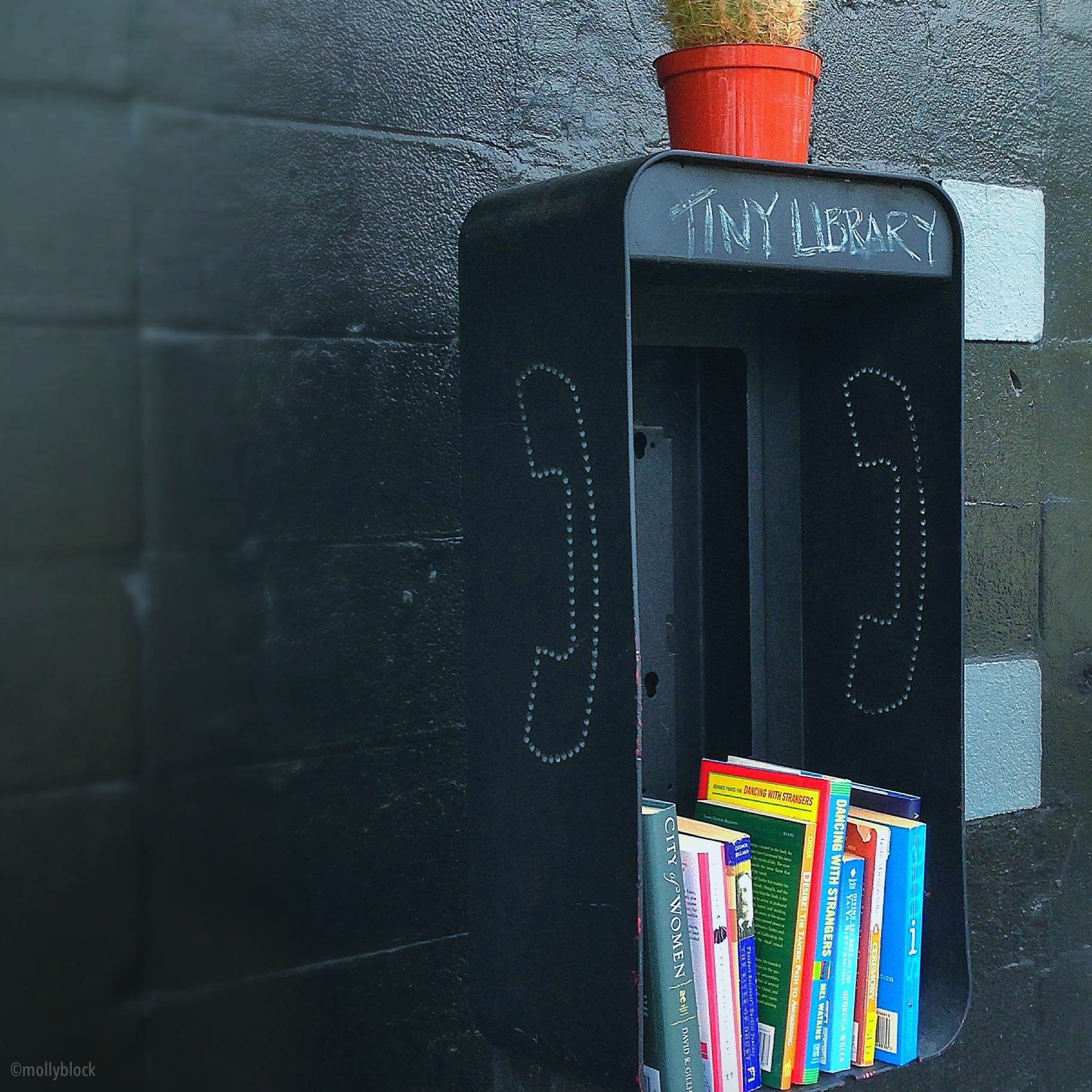 tiny library larger pic w watermark.jpg