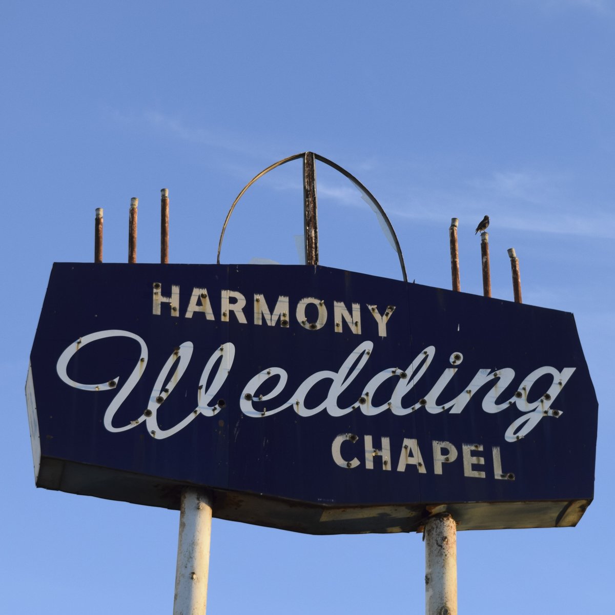 Harmony 692 92 dpi.JPG