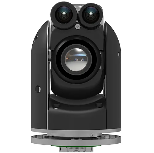 Colibri2.jpg