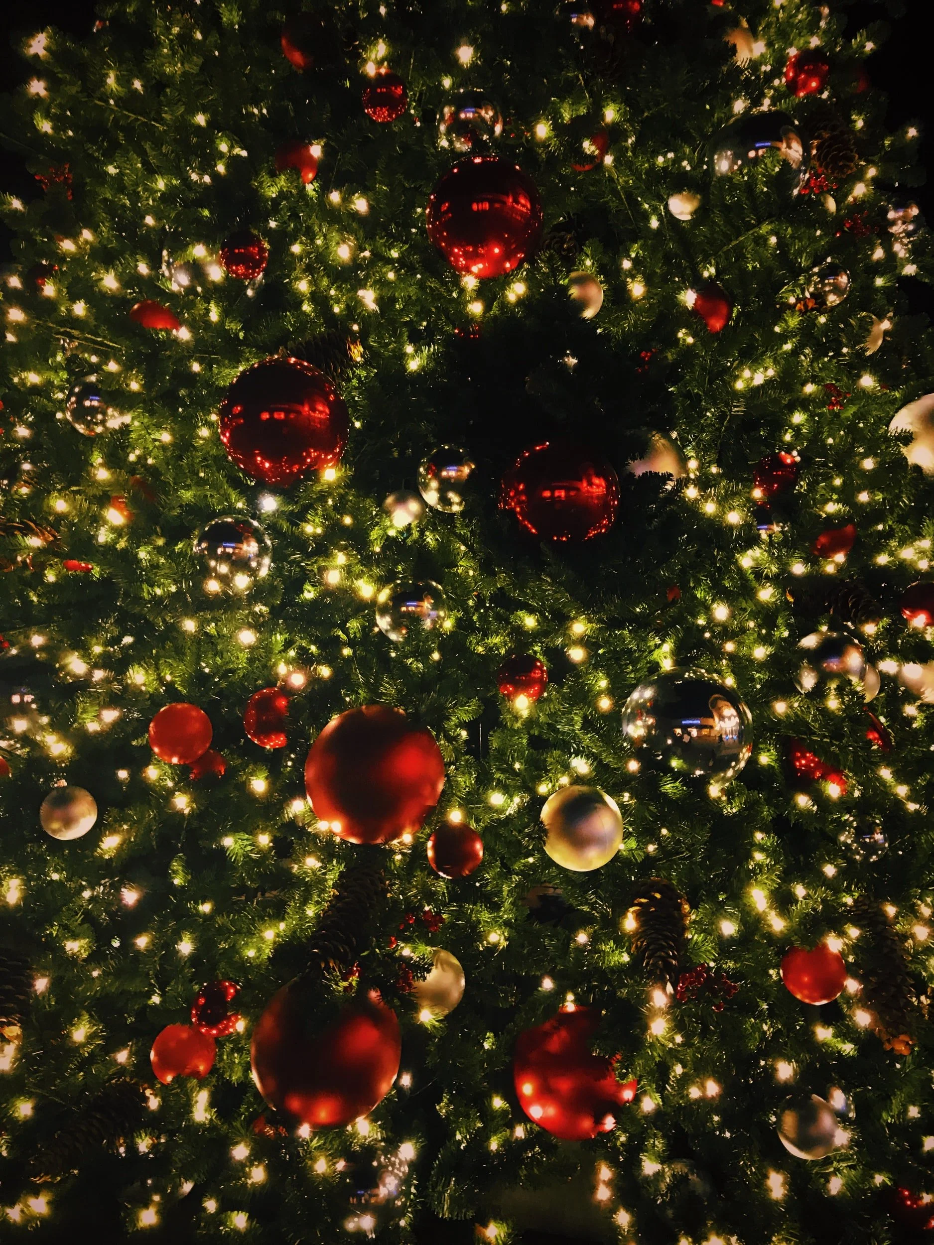 unsplash-image-XdAfqygfuN0.jpg