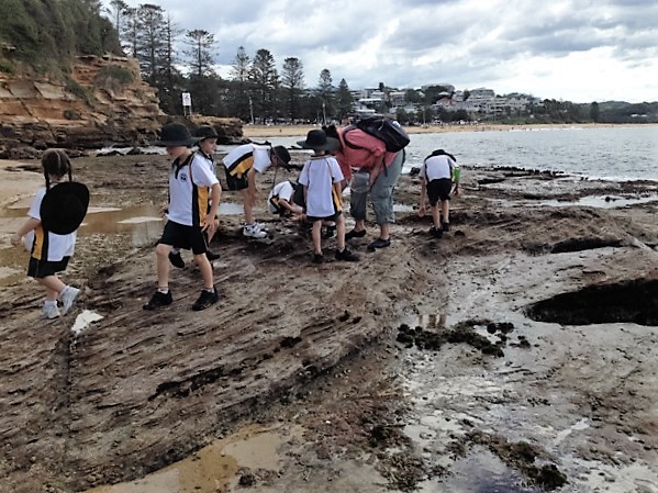 Terrigal (2).jpeg