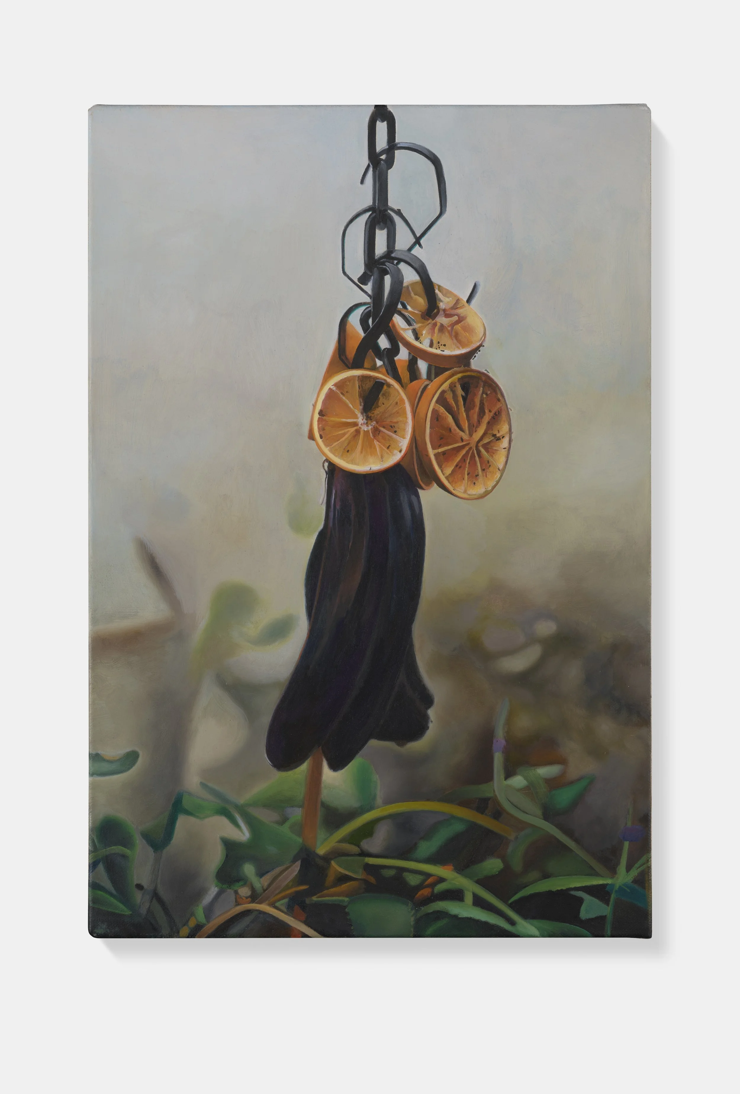 Suspended Still Life