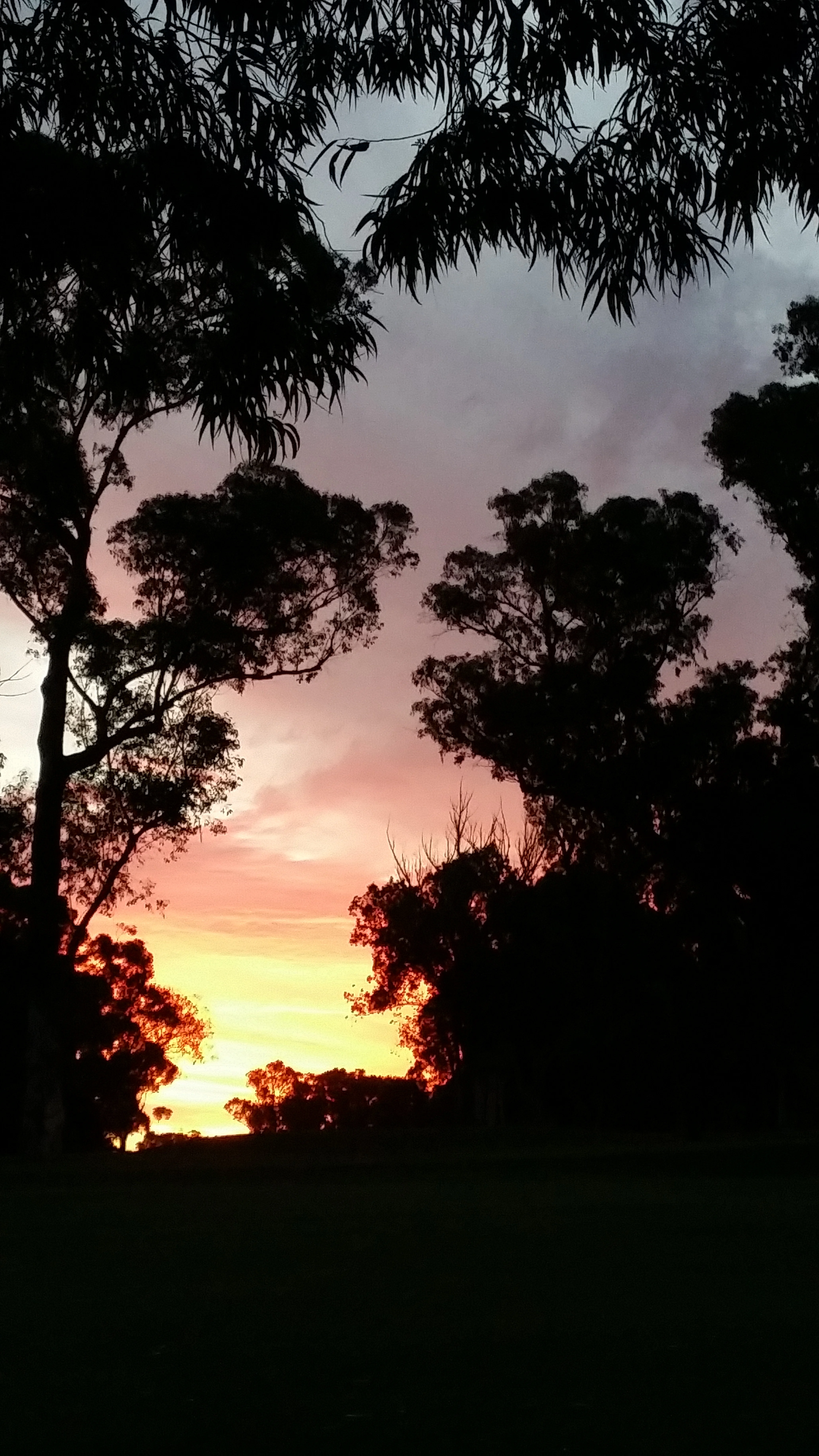 20140313_185106.jpg