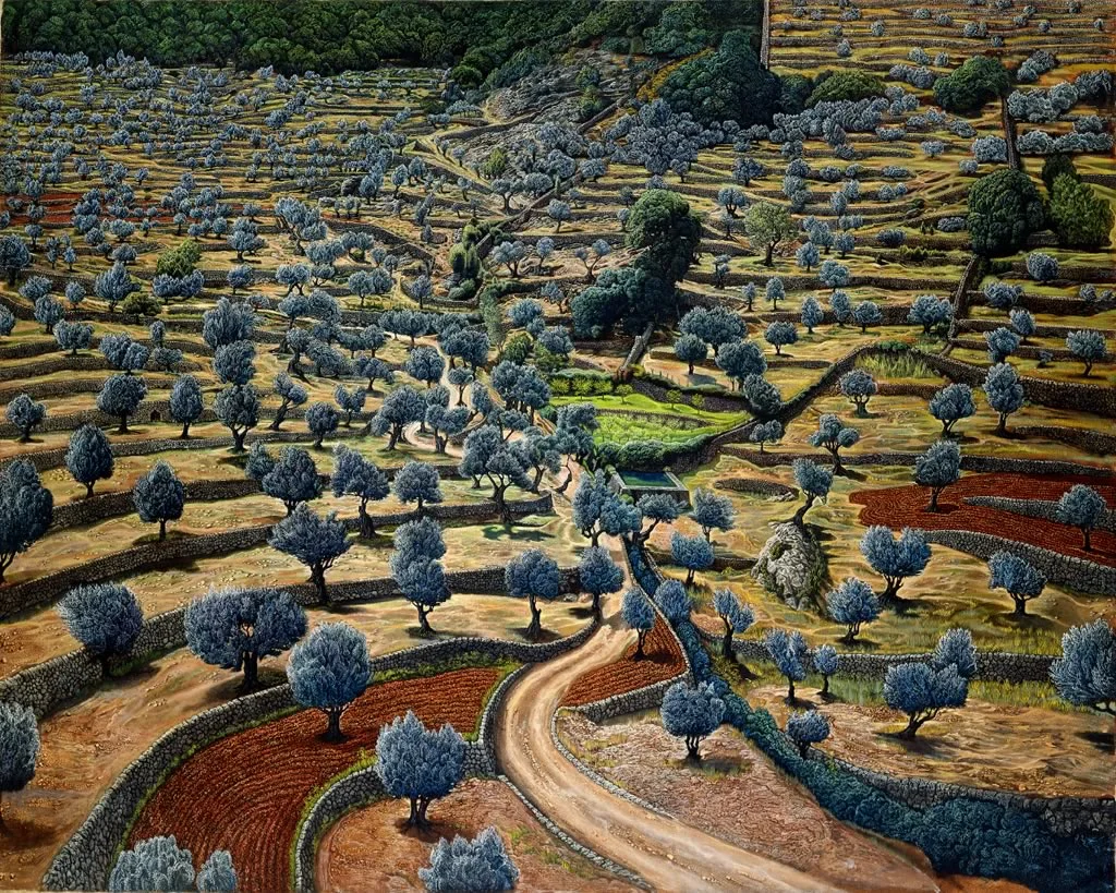 The olives groves of the Serra de Tramuntana