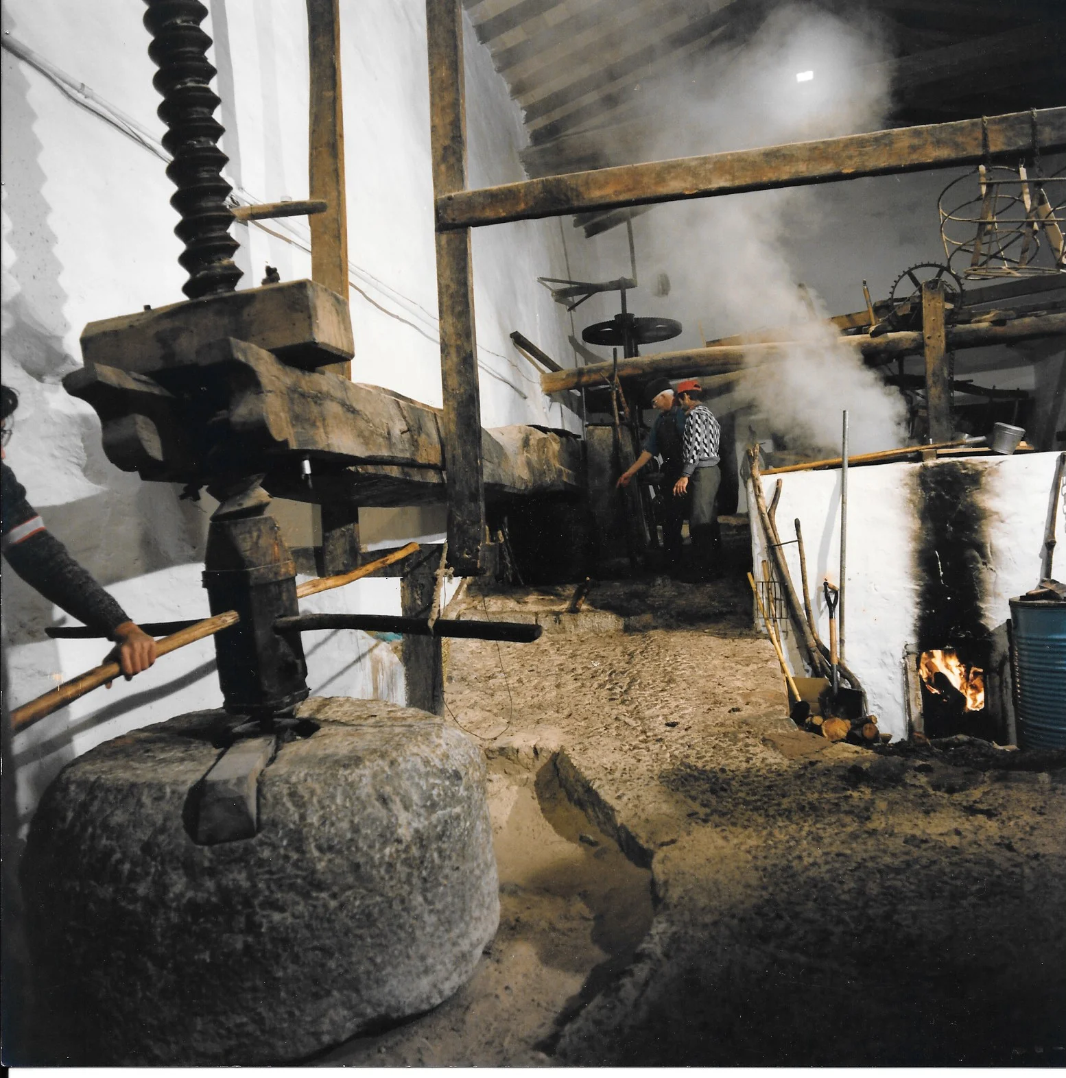 The Traditional World of Olive Oil at Pedruxella 