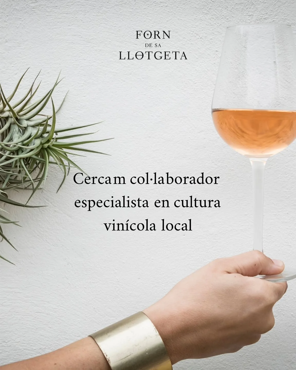 🍇Forn de sa llotgeta &eacute;s un projecte comprom&egrave;s amb la divulgaci&oacute; de la cultura tradicional local mitjan&ccedil;ant experi&egrave;ncies de viatge responsables i aut&egrave;ntiques.

🍷Cercam un col&middot;laborador aut&ograve;nom 