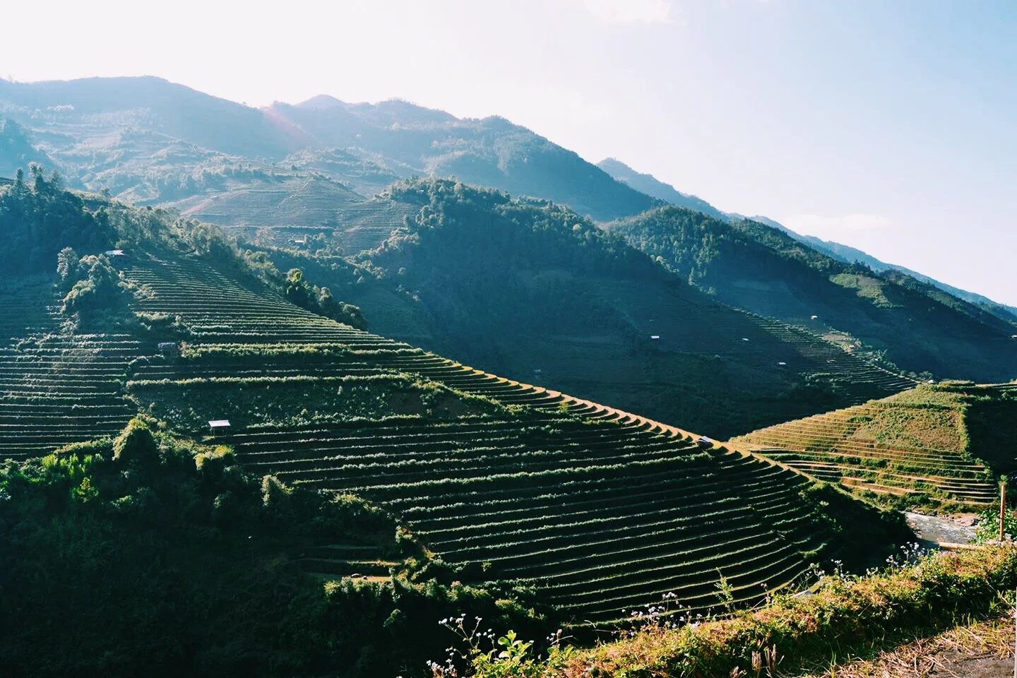 North - Vietnam - Wonderluhsters